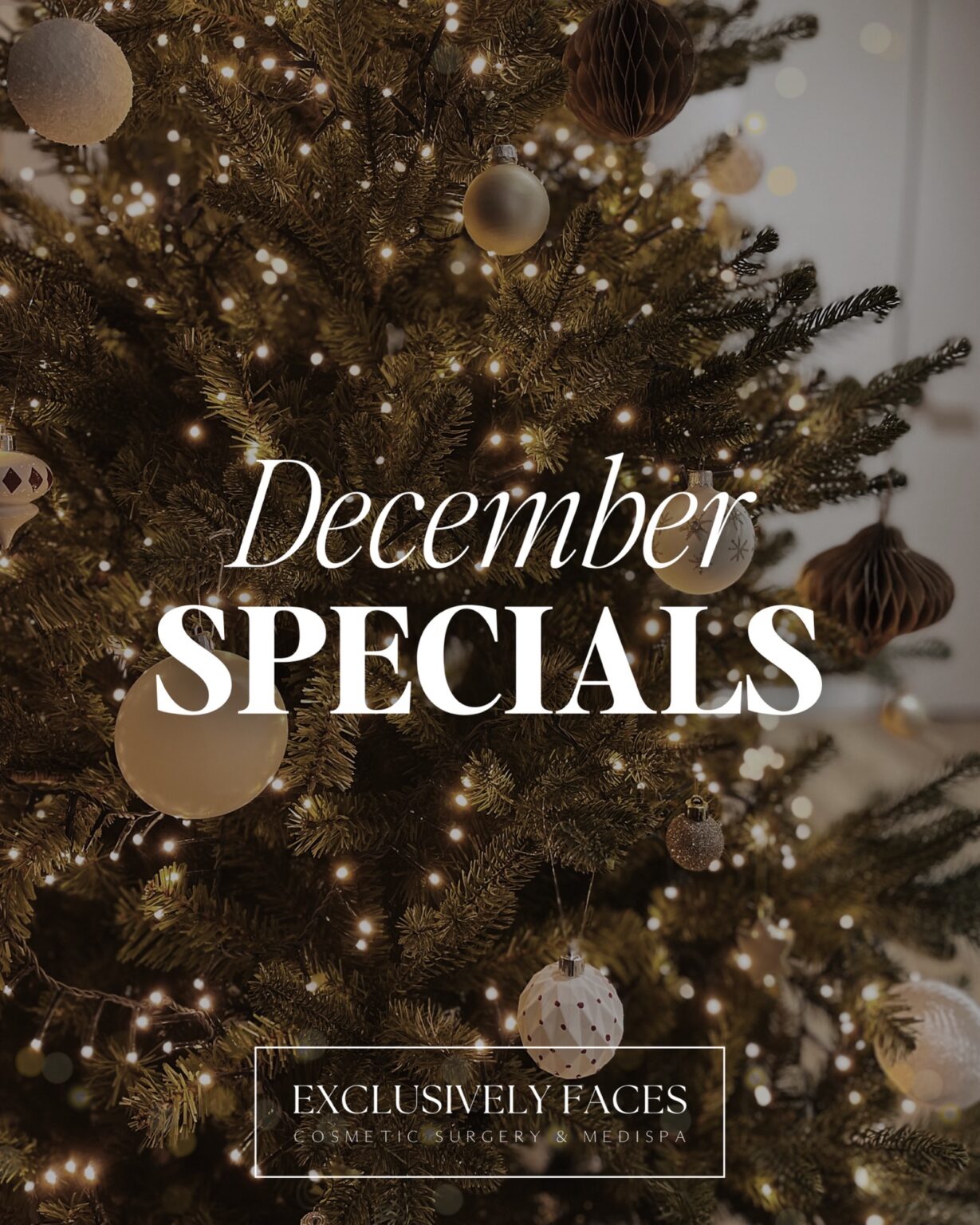December specials 1